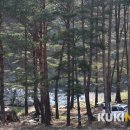 달빛강가 이미지