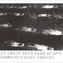 금문도 Daum카페