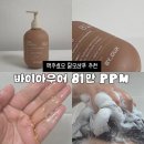 아우어독 | 맥주효모 향 좋은 탈모샴푸 추천, 바이아우어 81만 PPM 사용 후기