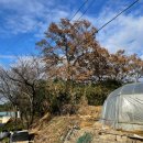 상월경로당 이미지