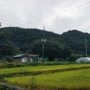 마을정자 옆 티스토리
