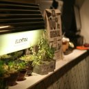 대도식당 앞 이미지