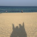 S L  모텔 | 강릉여행-1(묵호를 곁들인..🌊)