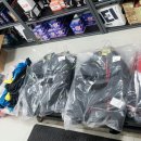 울산바이크알렌트카