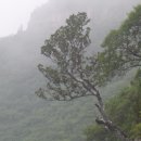 중국 신농산(1,028m, 타이항산맥) 산행(2) 이미지