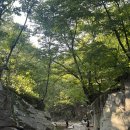 신명민박 이미지