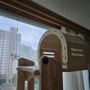 캣그린 | 고양이 캣타워 오래쓰는 튼튼한 그린웨일 후기