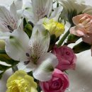 용현로 | [W14. 선물] 부모님 첫인사 상견례 과일 바구니 추천 일산 '미엘프룻' 후기