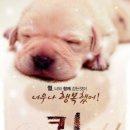 퀼QUIL 티스토리