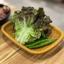 분당-294 네이버블로그
