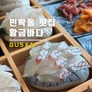 [광안리 맛집] 광안리 해수욕장 민락동 횟집 추천 : 황금바다 (내돈내산 후기)