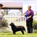 베스트랩 이미지