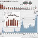 이러다 2000명 되나..신규확진 1492명, 일요일 최다(종합)