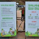 인제 여행 자작나무 숲 트래킹 후기(2시간 소요)