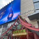 염소왕국 | 대련 자유여행 코스 서안로 야시장 운영시간 / 빅유마트 고양이 염소 동물구경 먹거리 볼거리 네일아트