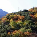 금오산 이미지