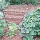 너울농장 이미지