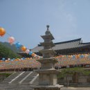 석탑 Daum카페