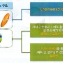 제넥신--상장이후 7년만에 흑자. 그 영향은? 이미지