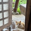 송화네민박 이미지