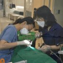 서울예쁜얼굴치과의원 이미지