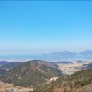 일표농장 Daum카페