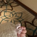 CU진주혁신라온점 | 진주 혁신도시 네일 맛집, 네일스튜디오글로시에서 받은 여리여리 핑크 네일 후기 🌸