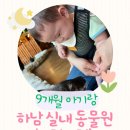 FUN메디 | 🐾 9개월 아기랑 주렁주렁 하남점