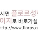 플로르성형외과 이미지