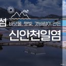 천사신안낙지전복