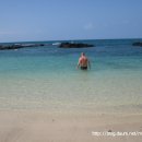 아일랜드 이미지