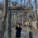 김포가든 | 반짝이는 겨울 무드 가득, 김포대형베이커리카페 팟시아가든 아이랑