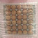 대섬알이랑 이미지