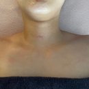 민트테라피 네이버블로그