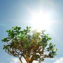 금난의 집 이미지