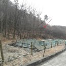 찬이공인중개사사무소 이미지