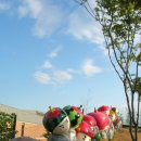 딸기아트센터학원 이미지