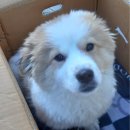 논공파출소 이미지