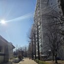 상계마들아파트경로당 | 마들역 노원 초역세권 대단지 구축 아파트 상계주공 9단지 아파트 리뷰