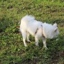 덕호농장 이미지