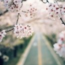 스튜디오얼라인 네이버블로그