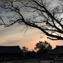 평창차이나 이미지