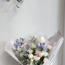 엔젤로니아플라워 - 14637 | 엔젤로니아플라워