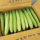참바른유통