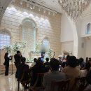 노블 소프트 | [웨딩홀 투어-3탄] 노블발렌티삼성 견적 공유 (식사/주차/예식장 분위기)