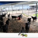 용무농장 이미지