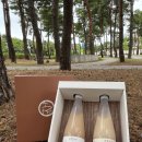 GS25 원주대복점 | 강릉 현지인 추천 기념품! 강릉 선물세트 강추템 🌲솔향주조🌲 수제막걸리 선물포장 후기