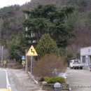 수청과상회