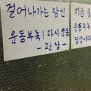 헬스나라 네이버블로그