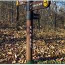 뚝넘어근린공원 이미지